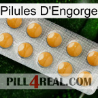 Engorge Pills levitra1